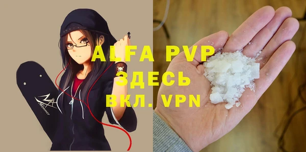 шишки Абаза